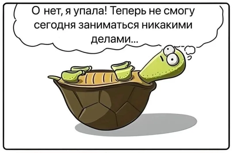 Жиза #2