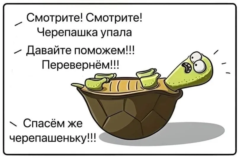Жиза #3