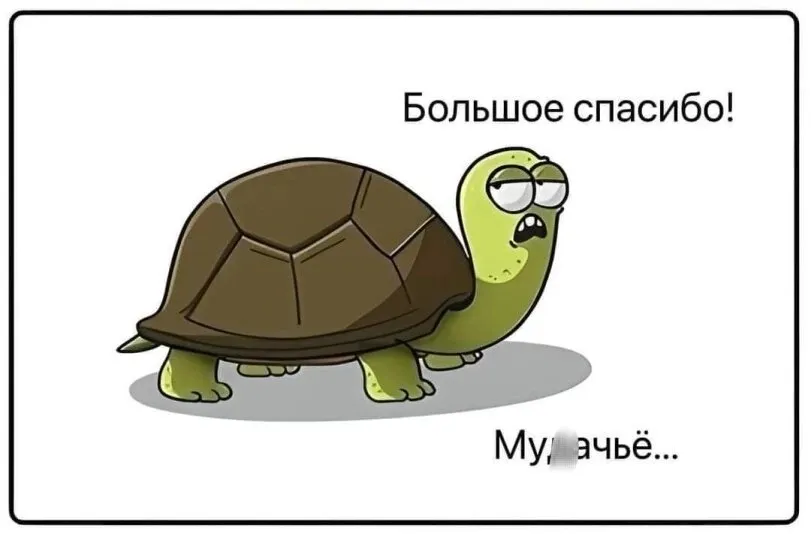Жиза #4