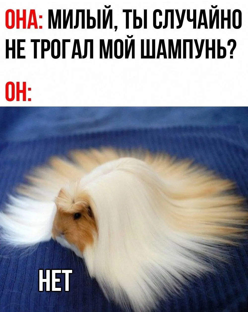 😅😅😅 #1