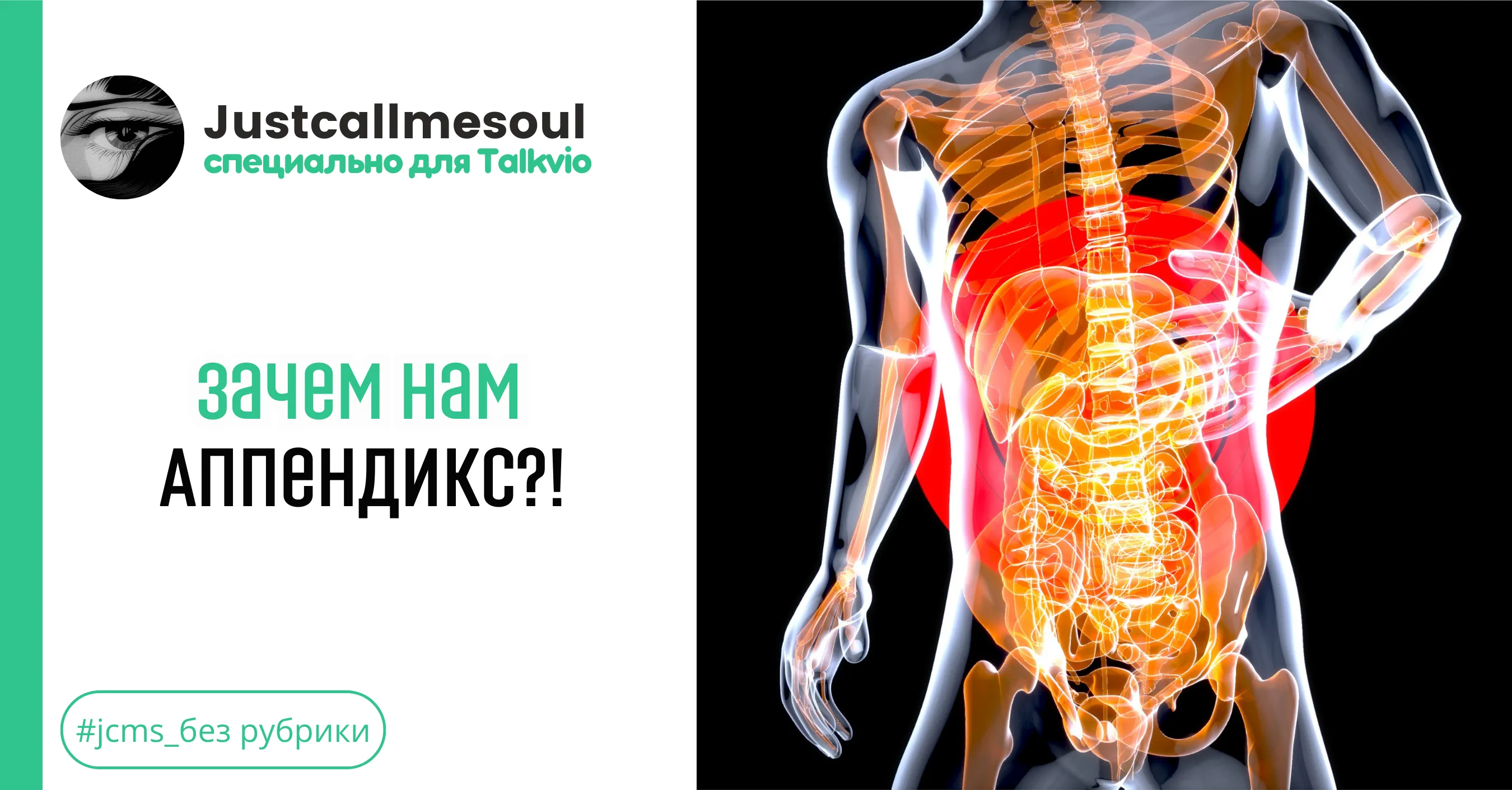 Зачем нам аппендикс?! #1