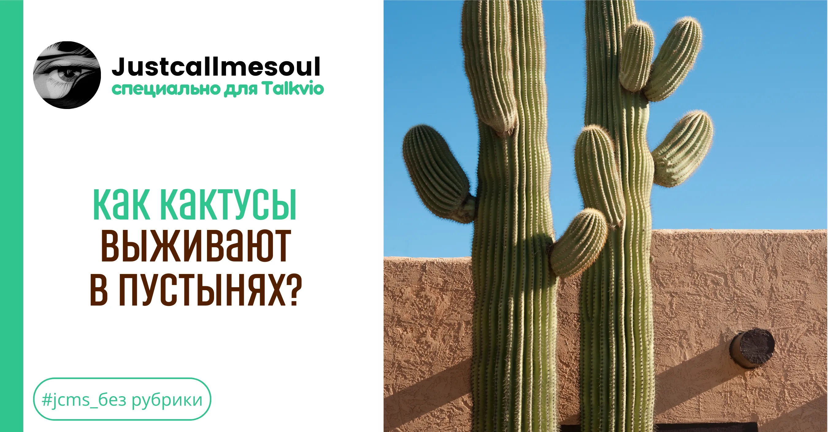 Как кактусы выживают в пустынях?! #1