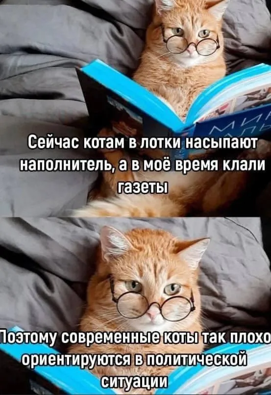 А у вас какие наполнители?! #2