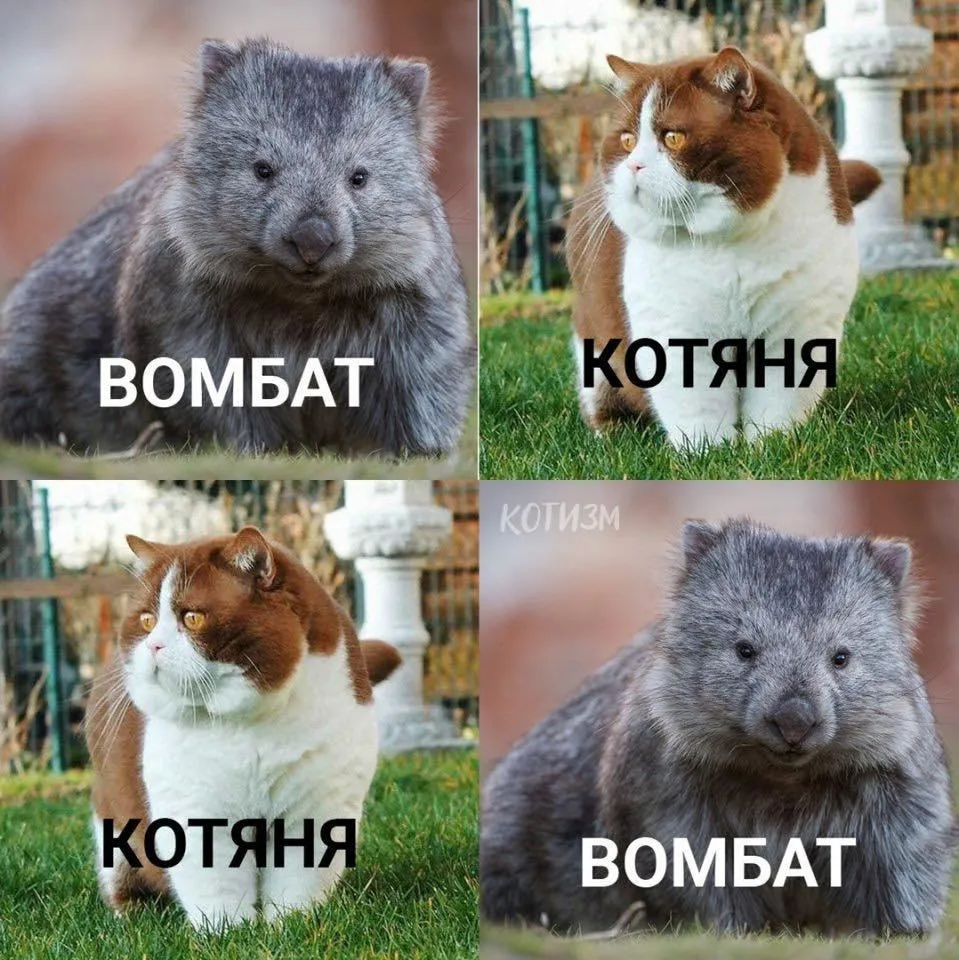 Внимание, отойдите в безлюдное место #2