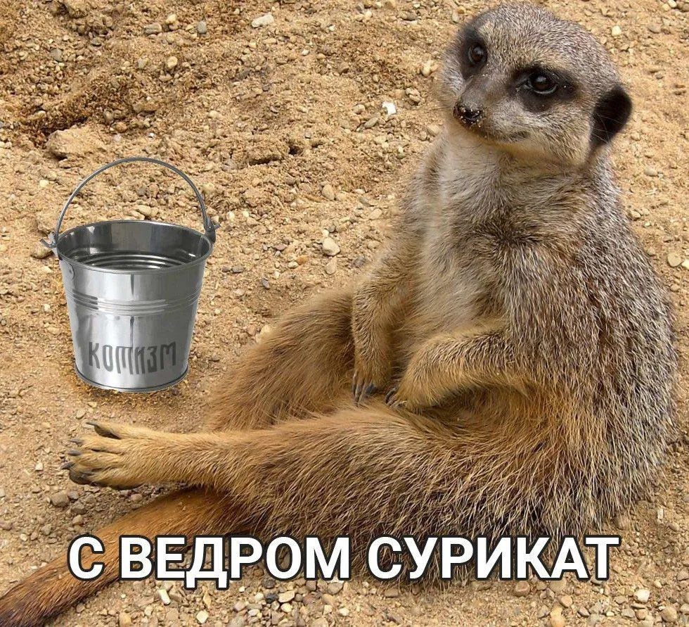 Внимание, отойдите в безлюдное место #4