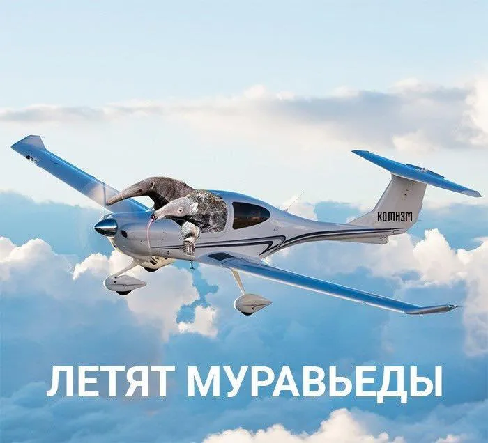 Внимание, отойдите в безлюдное место #5
