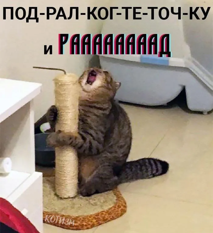 Внимание, отойдите в безлюдное место #7