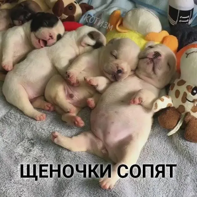 Внимание, отойдите в безлюдное место #6