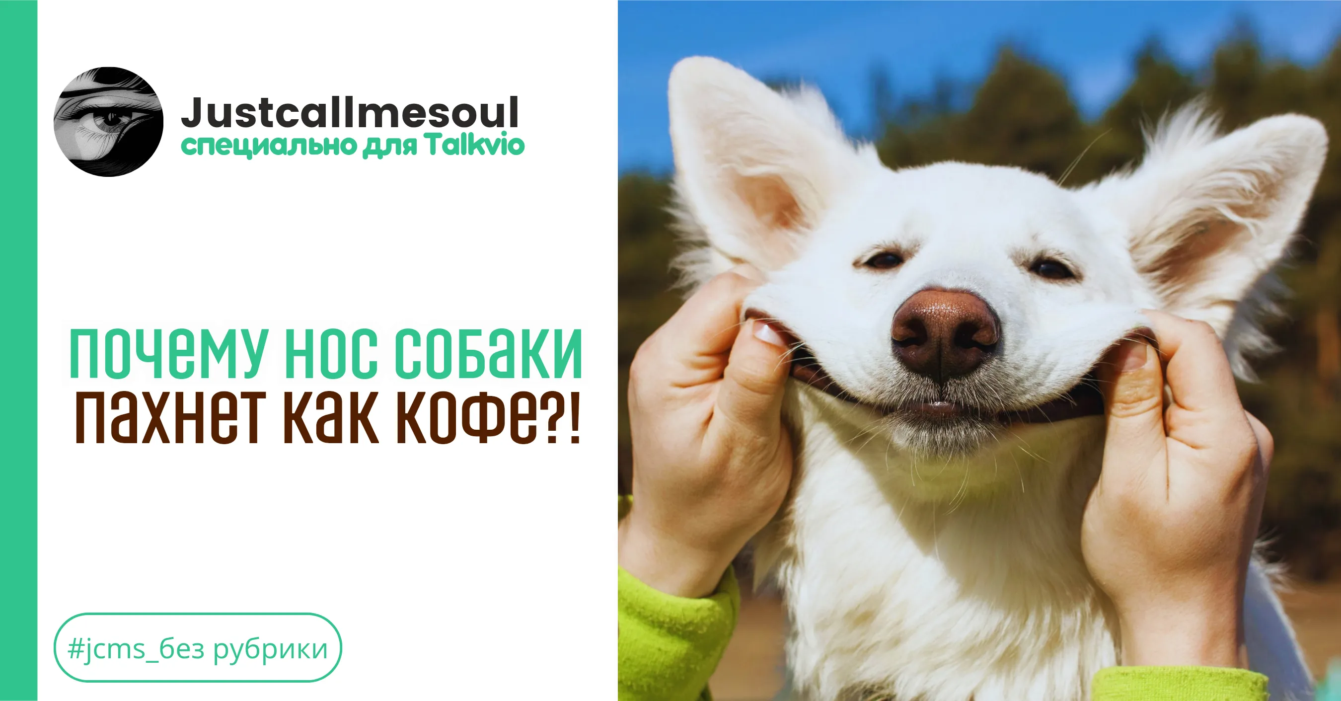 Почему нос собаки пахнет как кофе?! #1