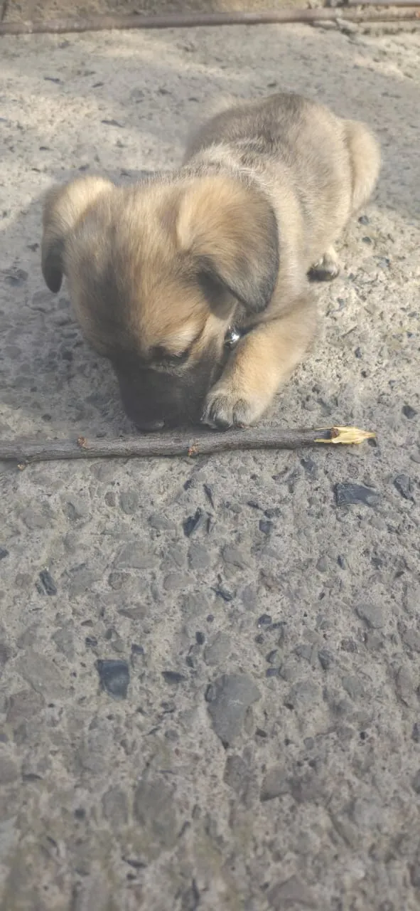 В новом доме