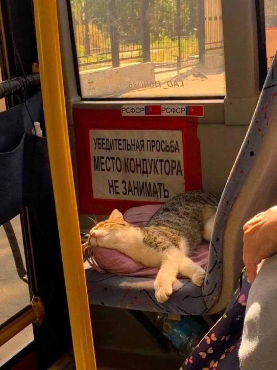 Место кондуктора не занимать! #1