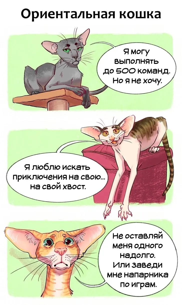 Добыча! #5