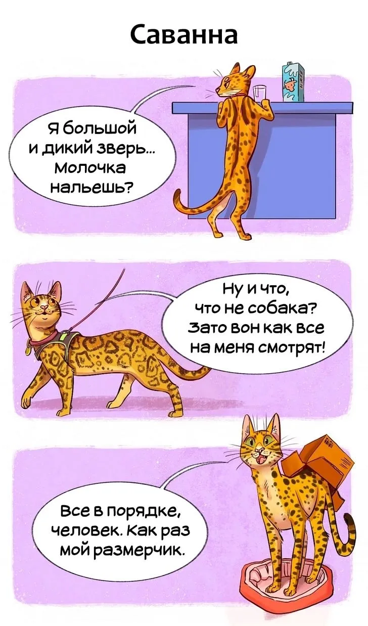 Добыча! #6