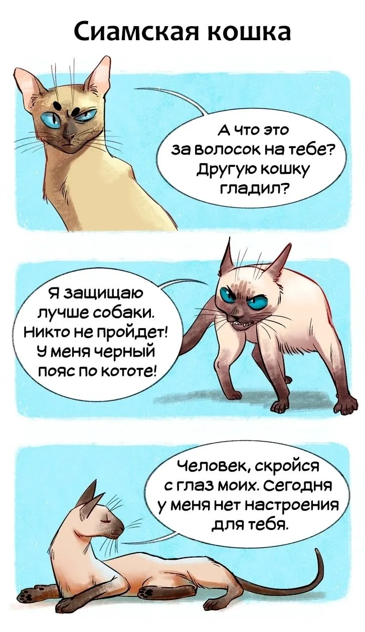 Добыча! #7