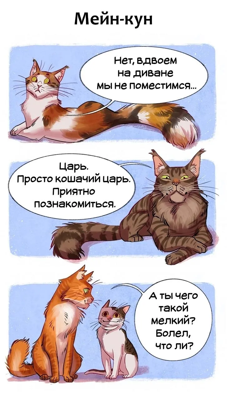 Добыча! #9