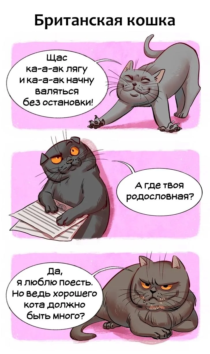 Добыча! #10