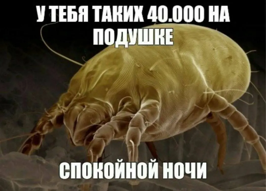 Спокойной ночи! #2