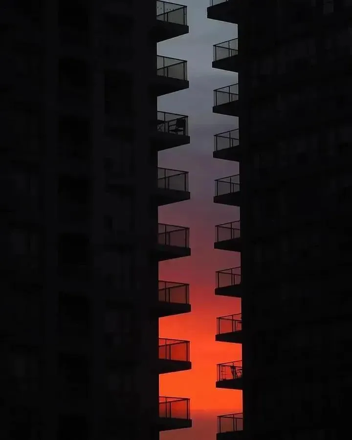 Sunsetz #4