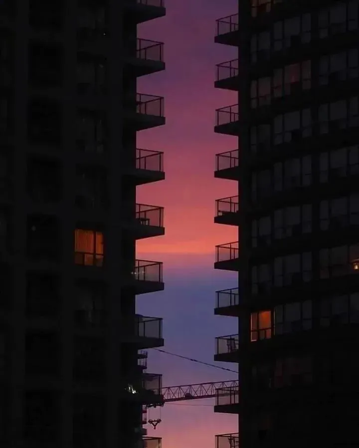 Sunsetz #3