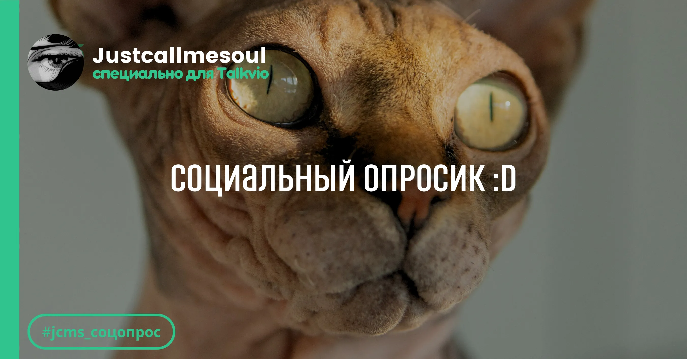 Социальный опросик :D #1