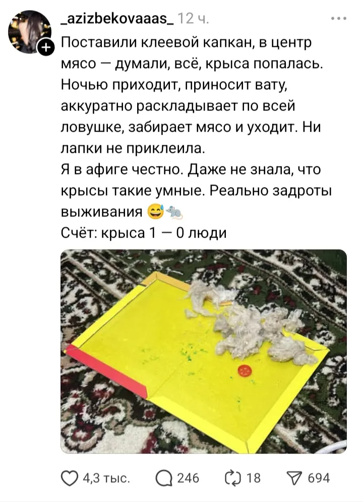 И правда 1:0 🤭 #1