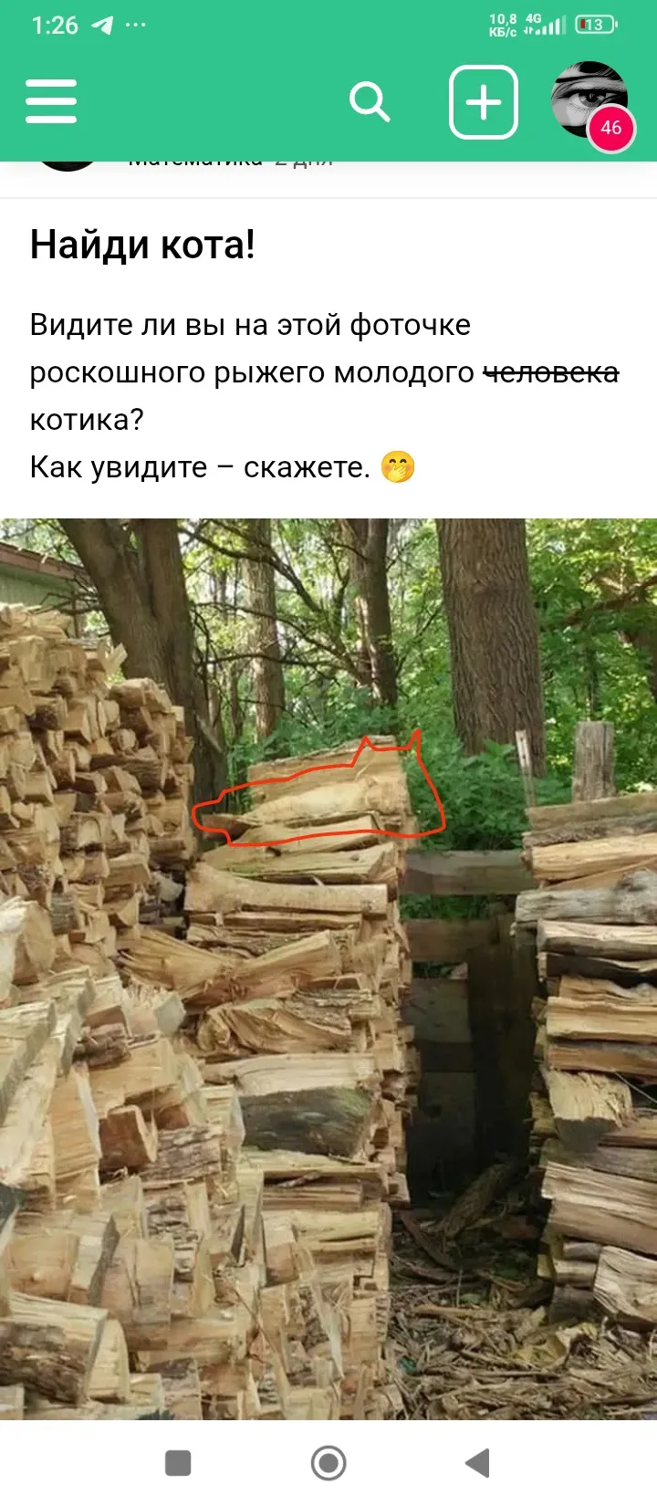 Найди кота! #1