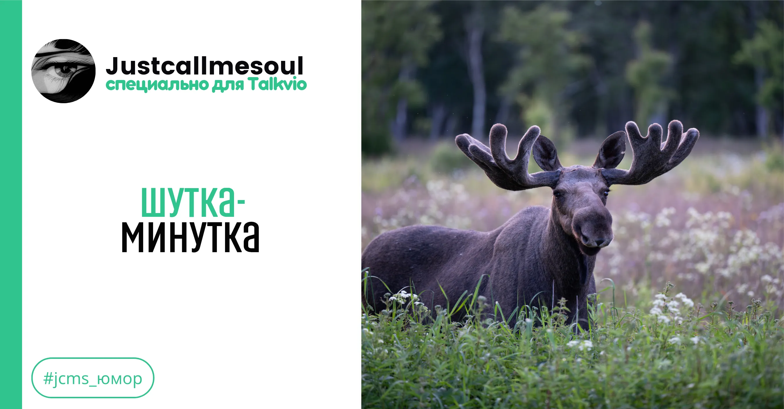 Шутка-минутка #2