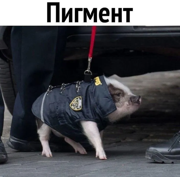 Подгон от шлакоблокуня #3 #3
