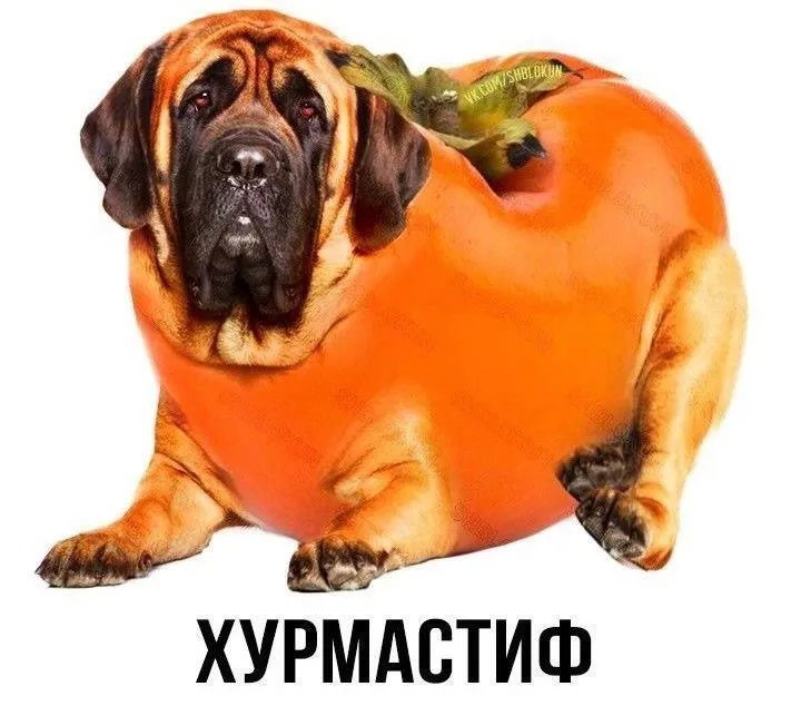Подгон от шлакоблокуня #3 #4