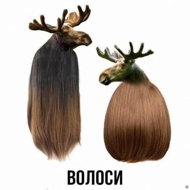 Подгон от шлакоблокуня #3 #6