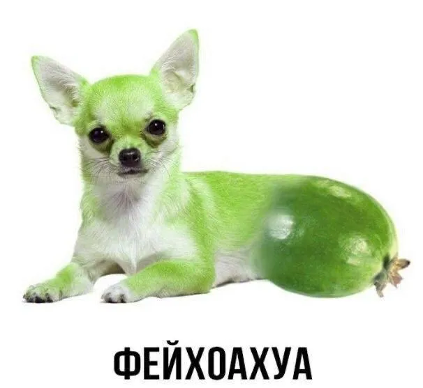 Подгон от шлакоблокуня #3 #7