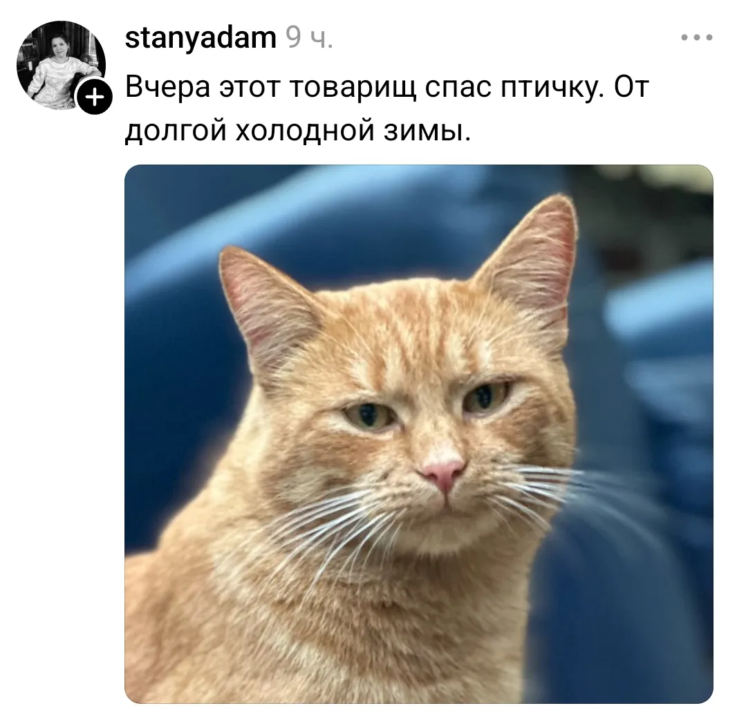Спас или не спас?🤭 #1