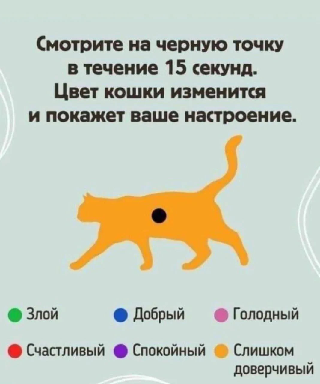 Ну как, что видим? #1