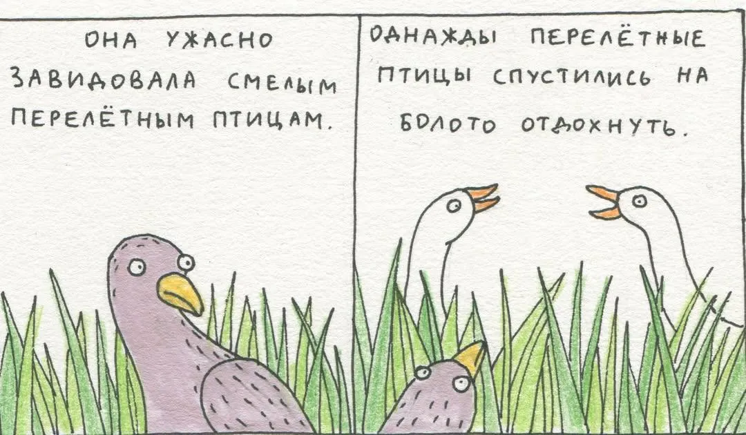 Маленькая серая птичка #3
