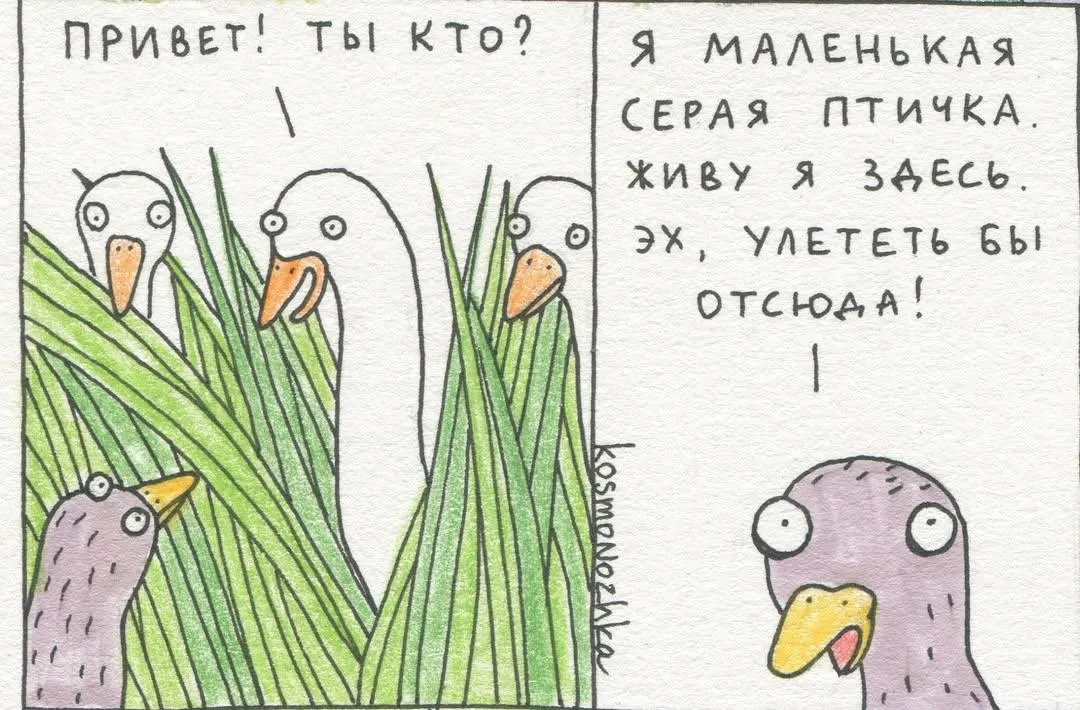 Маленькая серая птичка #4