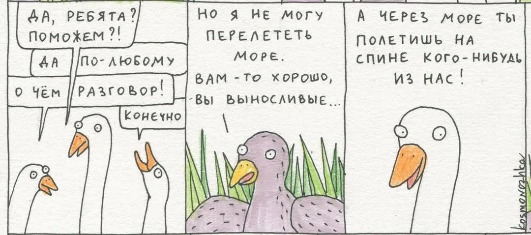Маленькая серая птичка #6
