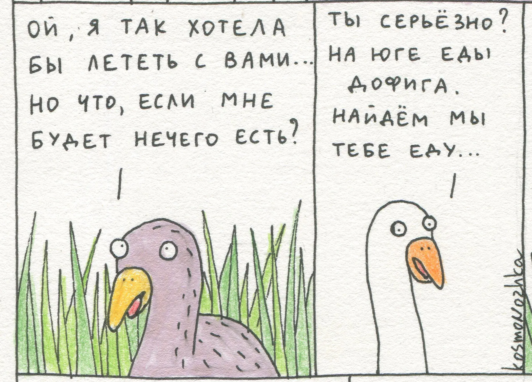 Маленькая серая птичка #8