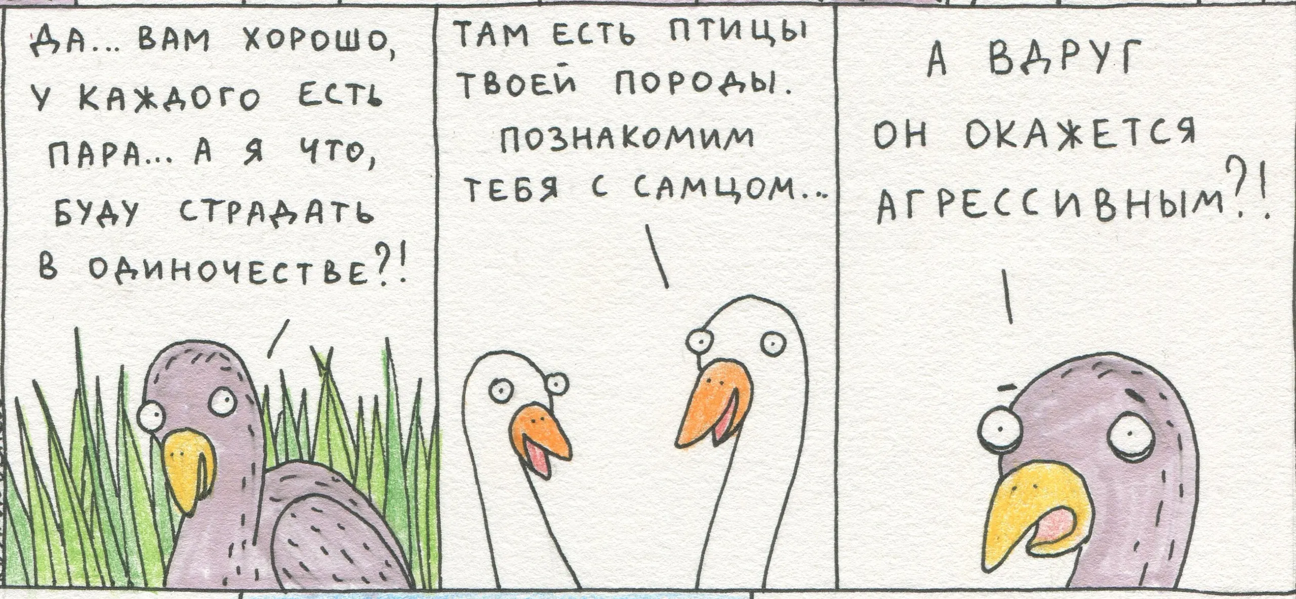Маленькая серая птичка #9