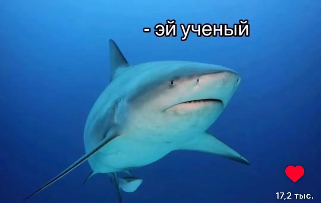 Простите пожалуйста 😭 #2