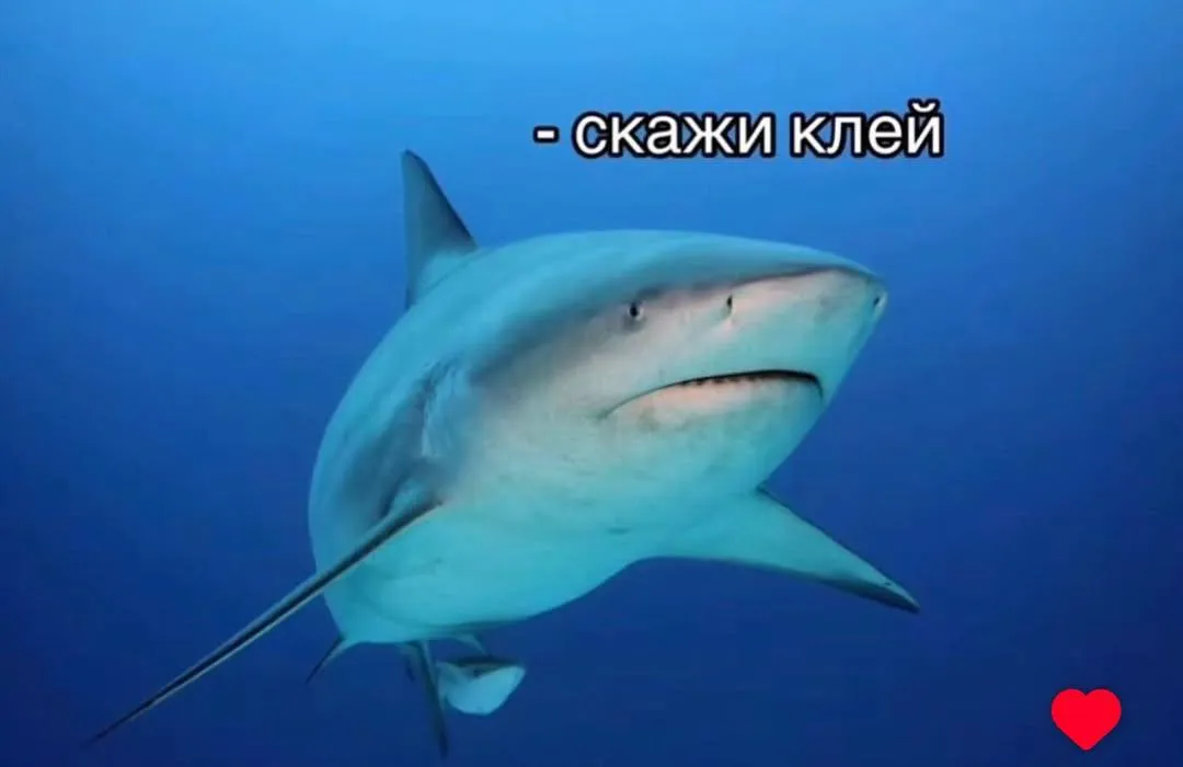 Простите пожалуйста 😭 #4