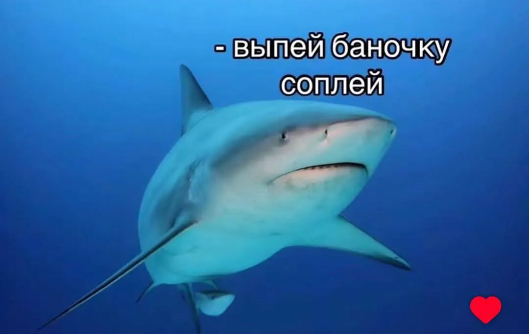 Простите пожалуйста 😭 #6