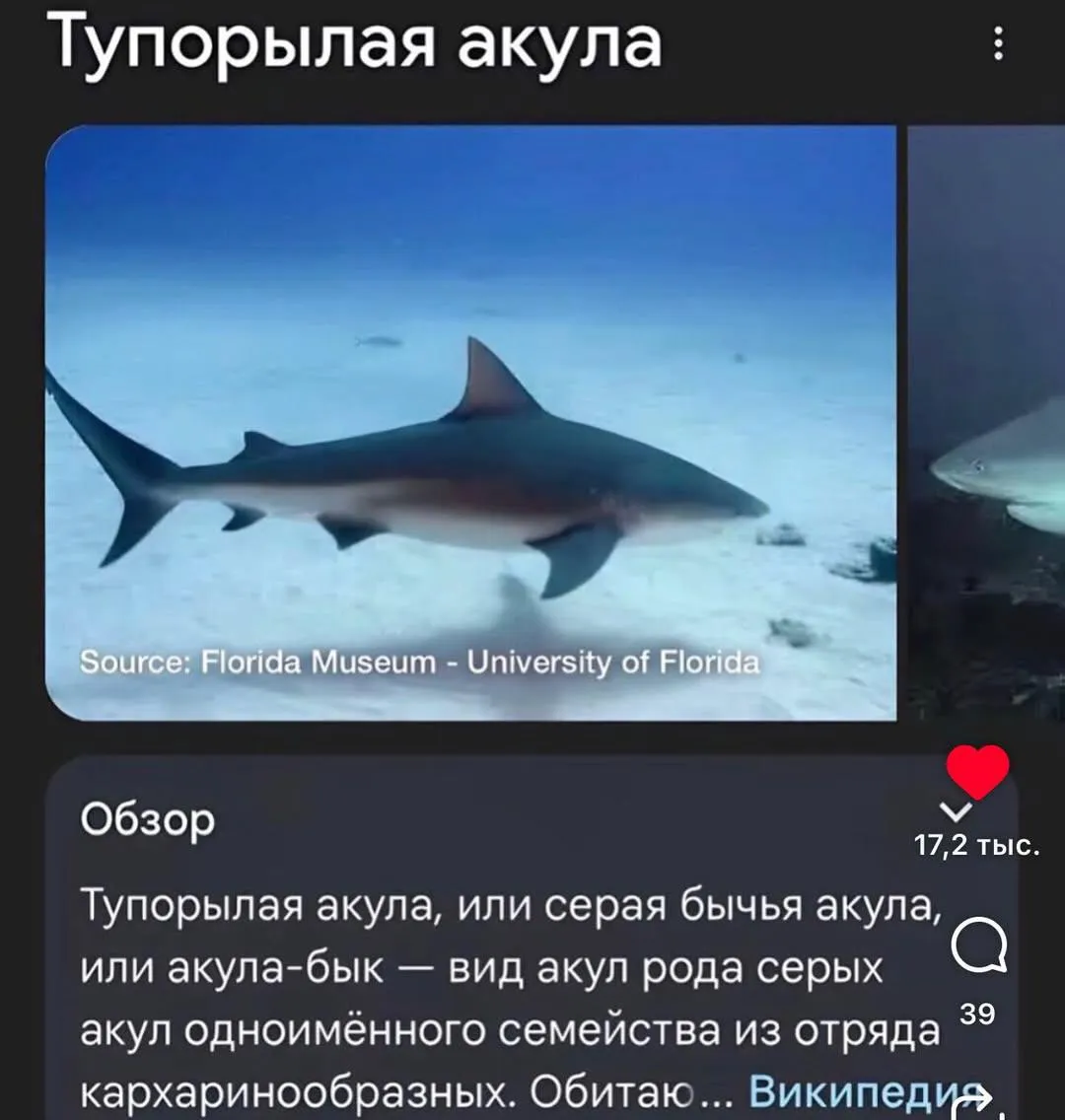 Простите пожалуйста 😭 #8