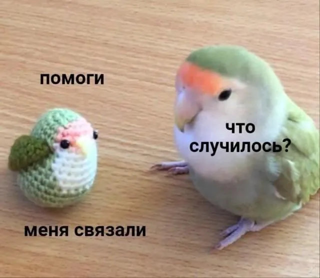 Шутка юмора на ночь #2