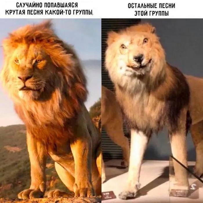 Мемчик просили?  #2
