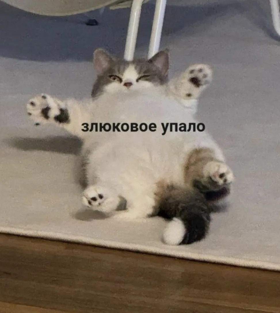 ИЗВИНИТЕ #1
