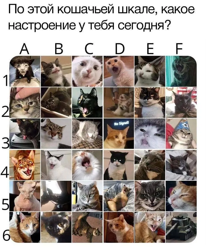 Сыграем?😎 #2