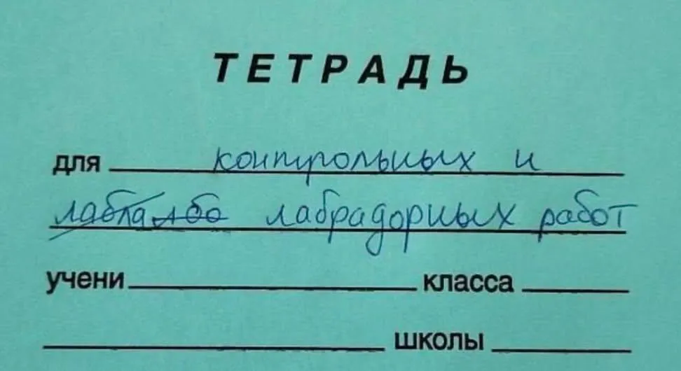 Лабрадорные работы 😁 #1