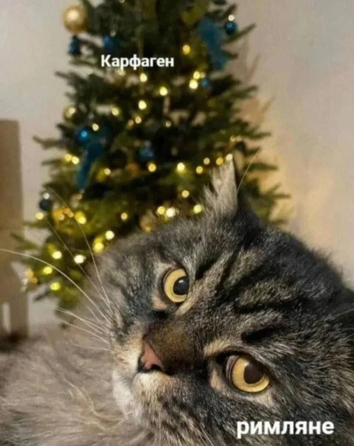Если вы понимаете о чем я😏 #1