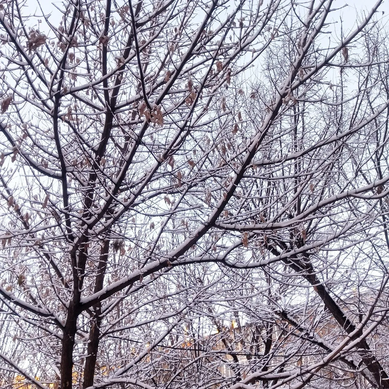 Зима в моем городе :) #5