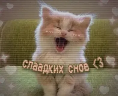 Всем сладких снов! #1